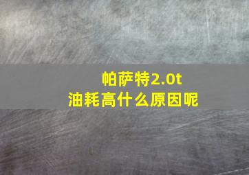 帕萨特2.0t油耗高什么原因呢