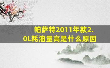 帕萨特2011年款2.0L耗油量高是什么原因