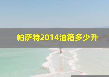 帕萨特2014油箱多少升