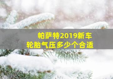 帕萨特2019新车轮胎气压多少个合适