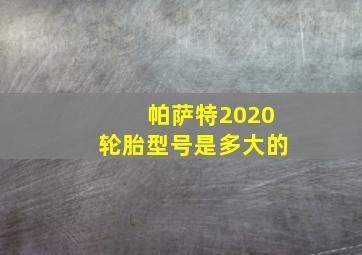 帕萨特2020轮胎型号是多大的