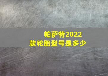 帕萨特2022款轮胎型号是多少