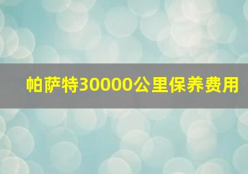 帕萨特30000公里保养费用