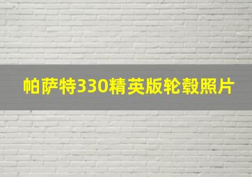 帕萨特330精英版轮毂照片