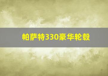 帕萨特330豪华轮毂