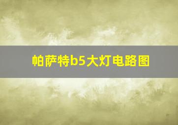 帕萨特b5大灯电路图