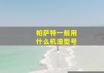 帕萨特一般用什么机油型号