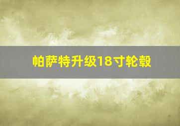 帕萨特升级18寸轮毂