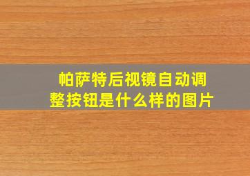 帕萨特后视镜自动调整按钮是什么样的图片