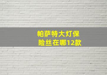 帕萨特大灯保险丝在哪12款