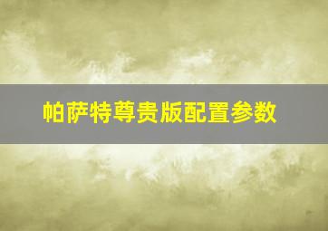 帕萨特尊贵版配置参数