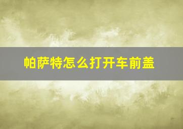 帕萨特怎么打开车前盖