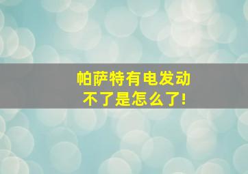 帕萨特有电发动不了是怎么了!