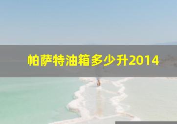 帕萨特油箱多少升2014