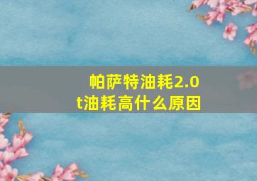 帕萨特油耗2.0t油耗高什么原因