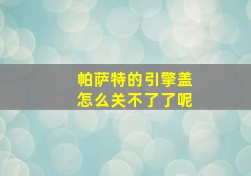 帕萨特的引擎盖怎么关不了了呢