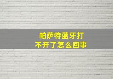 帕萨特蓝牙打不开了怎么回事