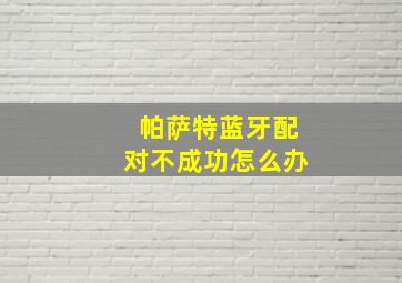 帕萨特蓝牙配对不成功怎么办