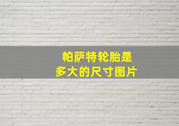 帕萨特轮胎是多大的尺寸图片