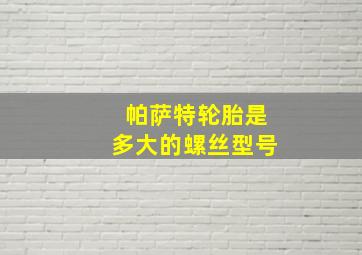 帕萨特轮胎是多大的螺丝型号