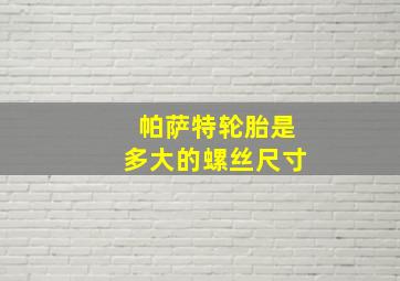 帕萨特轮胎是多大的螺丝尺寸