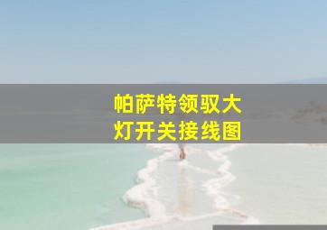 帕萨特领驭大灯开关接线图