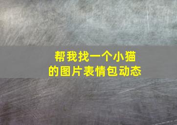 帮我找一个小猫的图片表情包动态