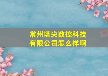 常州塔尖数控科技有限公司怎么样啊