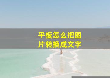 平板怎么把图片转换成文字