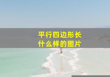 平行四边形长什么样的图片