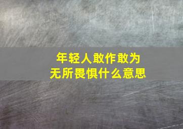 年轻人敢作敢为无所畏惧什么意思