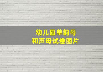 幼儿园单韵母和声母试卷图片