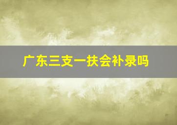 广东三支一扶会补录吗