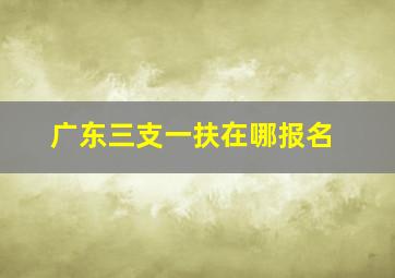 广东三支一扶在哪报名