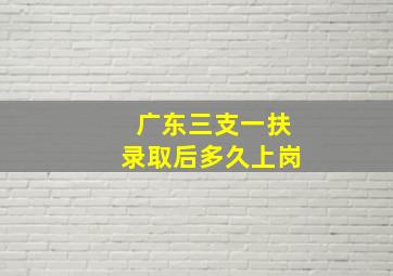 广东三支一扶录取后多久上岗