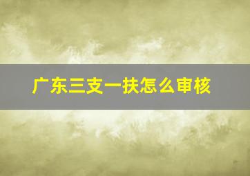 广东三支一扶怎么审核