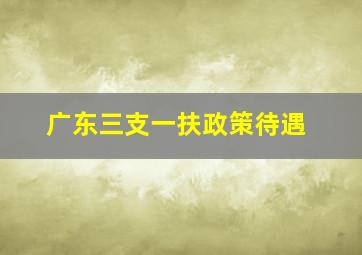 广东三支一扶政策待遇