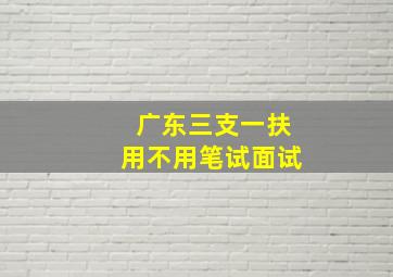 广东三支一扶用不用笔试面试