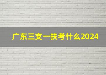 广东三支一扶考什么2024