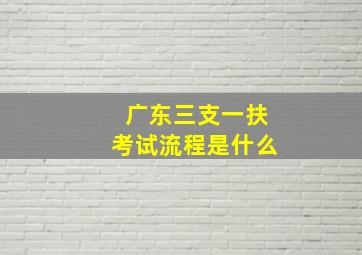 广东三支一扶考试流程是什么