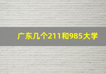 广东几个211和985大学