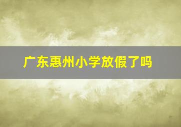 广东惠州小学放假了吗