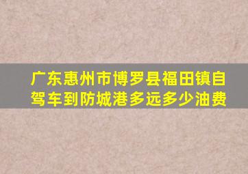 广东惠州市博罗县福田镇自驾车到防城港多远多少油费