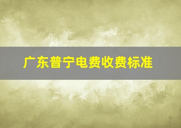 广东普宁电费收费标准