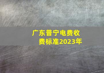 广东普宁电费收费标准2023年