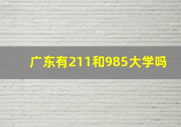 广东有211和985大学吗