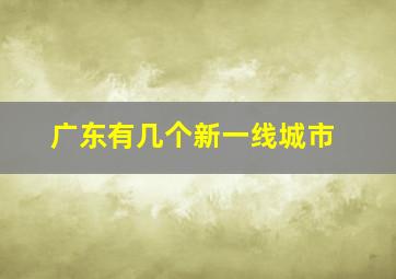 广东有几个新一线城市