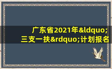 广东省2021年“三支一扶”计划报名登记表