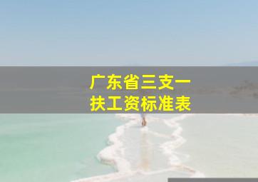 广东省三支一扶工资标准表