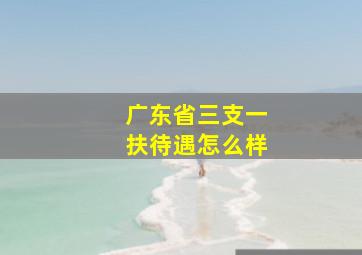 广东省三支一扶待遇怎么样